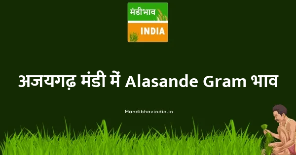 Alasande Gram भाव